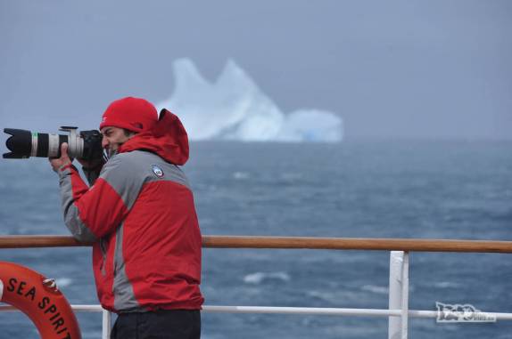 Os passageiros do Sea Spirit correm a fotografar os primeiros icebergs da nossa viagem, pouco antes de entrarmos no Drygalski Fjord, na Geórgia do Sul